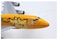 Airplane Models with Stand Sky Jumbo Airliner Display Model