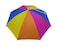 Hat Umbrella
