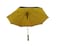 STRAIGHT UV UMBRELLA