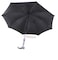 Umbrella with Walking Stick