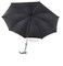 Umbrella with Walking Stick