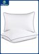 Bed Pillows for Sleeping-2 Pack King Size Set of 2 Pillow for Side Back and Stomach Sleepers&iuml;&frac14;&OElig; Down Alternative Filling Luxury Soft Quality with Premium Plush Pillows(King, White)