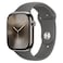 Apple Watch Series 10 GPS + Cellular 42mm Natural Titanium Case With Stone Grey Sport Band - Small / Medium