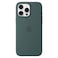 Apple Silicone Case Cover With MagSafe For iPhone 16 Pro Max Lake Green