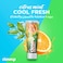 Closeup Cool Fresh Toothpaste, Citrus Mint 75ml