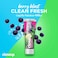 Closeup Clean Fresh Toothpaste Berry Blast 75ml