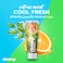 Closeup Cool Fresh Toothpaste Citrus Mint 75ml Pack of 2