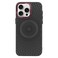 Cellairis Hollow Case for Apple iPhone 16 Pro