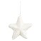 Ornament Star Display Box White 4x15cm