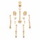 DIY Human Skeleton Anatomy Model Kit for Kids, STEM Science Learning Toy, Bone Assembly Educational Set with Display Stand, 5+ Years