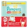 Pampers Ultimate Comfort Diaper Pants Size 6 16kg+ 34 Pants