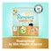 Pampers Ultimate Comfort Diapers with Aloe Vera Plus Vitamin E Size 3 6-10kg 84 Diapers