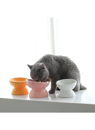 KASTWAVE 1 Pack Elevated Cat Bowls Pet Food Water Feeder Bowl Tilted Non Slip for Cats Small Dogs Safe, Lead &amp; Cadmium Free Easy to Wash (White)
