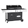 Outback Dual Fuel 2 Burner Charcoal and Gas Barbecue Black