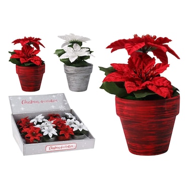 زينة عيد الميلاد من نبات البونسيتيا في وعاء خزفي 2 متنوعة