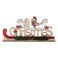 Christmas Decoration Scenery 2 Assorted 30cm