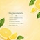 Maison Perrier Forever Lemon Sparkling Beverage with Lemon Flavour, 500ml, Pack of 6