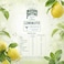Maison Perrier Chic Lemonjito Non-Alcoholic Beverage, 250ml
