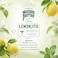 Maison Perrier Chic Lemonjito Non-Alcoholic Beverage, 250ml