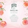 Maison Perrier Chic Rosellini Non-Alcoholic Beverage, 250ml