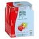 Maison Perrier and Magnetic Juice Strawberry and Kiwi Flavoured Sparkling Drink Can 250ml Pack of 4