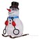 30 LED Battery Operated Acrylic Skiing Snowman Figure 2 Assorted 31cm