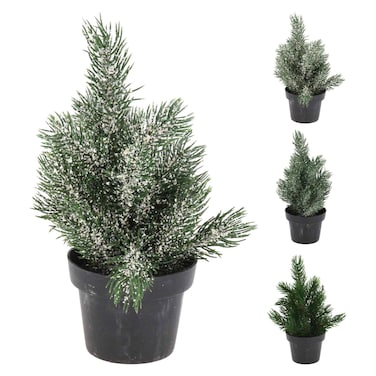 شجرة صنوبر في وعاء 3 متنوعة 22 سم