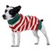 Christmas Sweater for Pets 3 Assorted