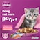 Whiskas Mother and Kitten Tuna and Salmon Flavour Dry Food, 1.1Kg Bag