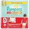 Pampers Ultimate Comfort Diaper Pants Size 6 16kg+ 34 Pants