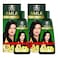 Parachute Amla Hair Fall Control Hair Oil 300ml Pack of 2