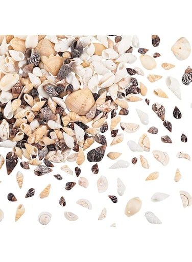 PH PandaHall Women's Elite Tiny Sea Shell Ocean Beach Spiral Seashells Craft Charms For Candle Making Home Decoration Beach Theme Party Wedding Decor Fish Tank And Vase Filler Length 10-30mm 180g