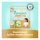 Pampers Ultimate Comfort Diapers with Aloe Vera Plus Vitamin E Size 4 9-14kg 100 Diapers