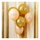 Hootyballoo Eighteen Latex Balloons Gold And Nude 12inch