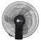 MyChoice Wall Fan with Remote MF-981WR, Powerful Motor, Black