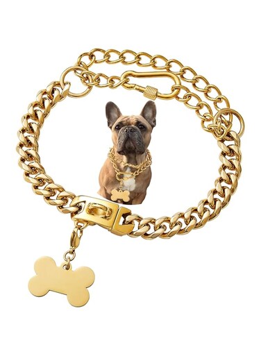 Petoo Adjustable Dog Collar with Quick Snap Buckle Dogs Outside, No Pull Cuban Link, Medium Size, Gold Color
