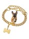 Petoo Adjustable Dog Collar with Quick Snap Buckle Dogs Outside, No Pull Cuban Link, Medium Size, Gold Color