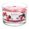 Bolsius Aromatic Glass Candle Berry Delight 63x90mm