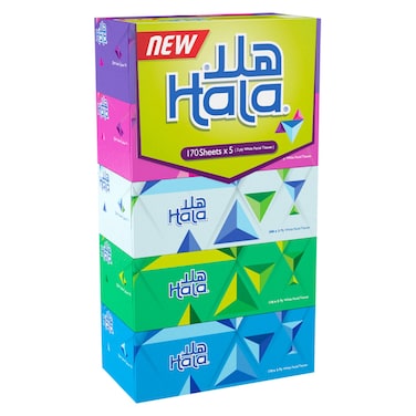 Hala Facial Tissues Box White 2 Ply 170 Sheet Pack of 5