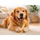 Delight Knotted Bone Rawhide Dog Chews 150g