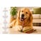 Delight Munchy Stick Rawhide Dog Chews 25 Stick 5inch 8 to 9mm