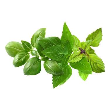 كليك اند جرو مجموعة الريحان  9 قرون