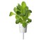 Click &amp; Grow Romaine Lettuce 3 Pods