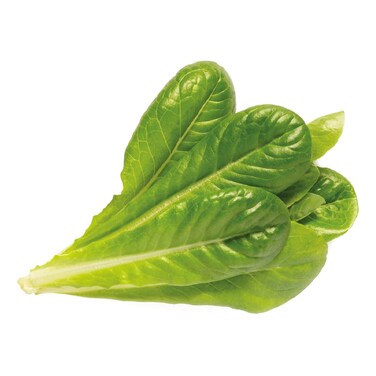 Click &amp; Grow Romaine Lettuce 3 Pods