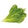 Click &amp; Grow Romaine Lettuce 3 Pods