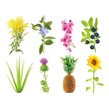 Click &amp; Grow Experiment 3 Pods