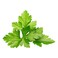 Click &amp; Grow Coriander 3 Pods