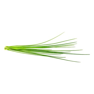 Click &amp; Grow Chives 3 Pods