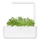 Click &amp; Grow Garden Cress 3 Pods
