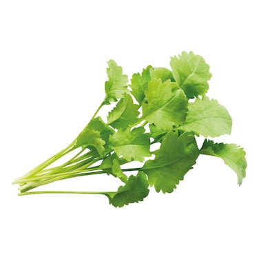 Click &amp; Grow Garden Cress 3 Pods